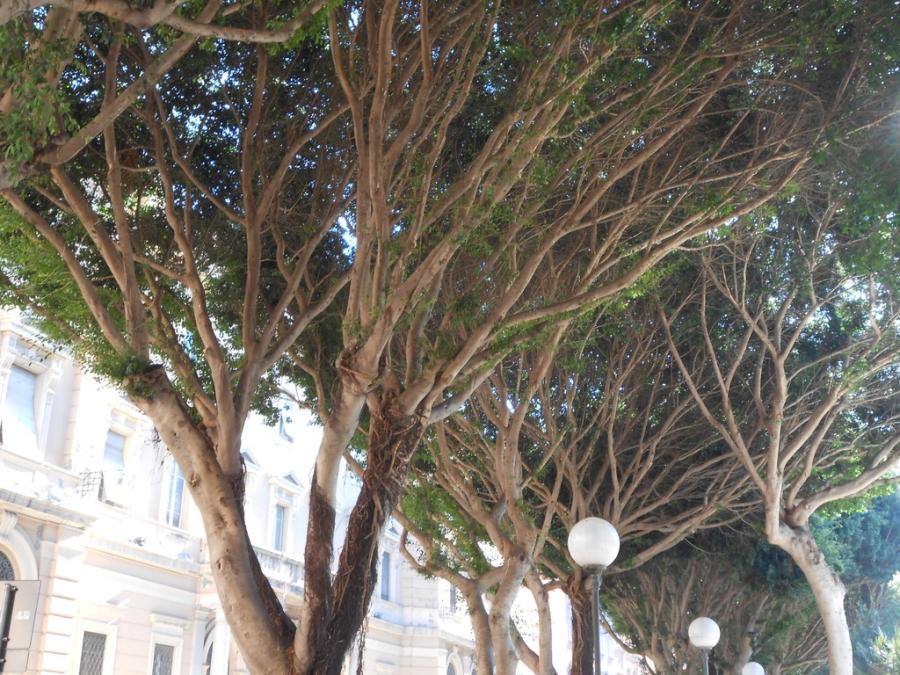Italien
